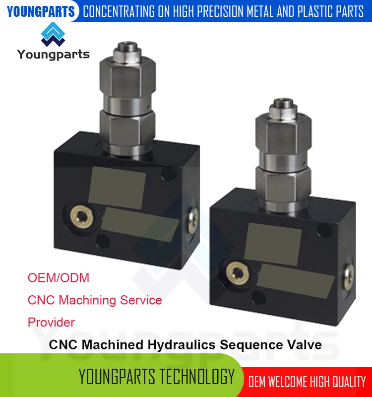 High Precision Direct Acting Pressure Sequence Valve CNC Machined Stainless Steel